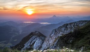 Preview wallpaper flowers, mountains, view, landscape, sunrise