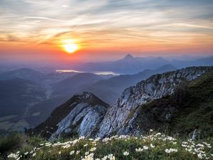 Preview wallpaper flowers, mountains, view, landscape, sunrise