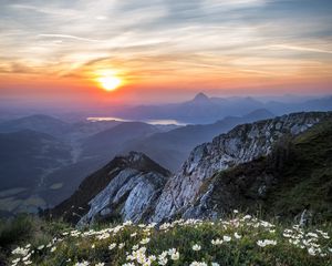 Preview wallpaper flowers, mountains, view, landscape, sunrise