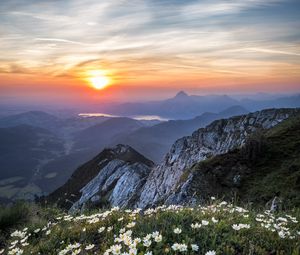 Preview wallpaper flowers, mountains, view, landscape, sunrise