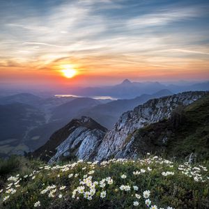 Preview wallpaper flowers, mountains, view, landscape, sunrise