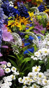 Preview wallpaper flowers, muscari, many, flowerbed, various