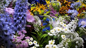 Preview wallpaper flowers, muscari, many, flowerbed, various