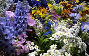 Preview wallpaper flowers, muscari, many, flowerbed, various