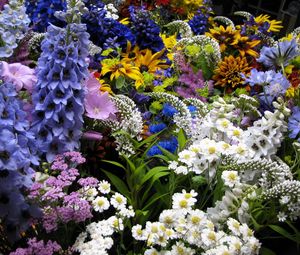 Preview wallpaper flowers, muscari, many, flowerbed, various