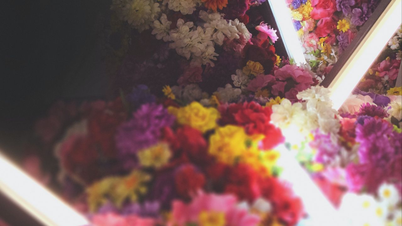 Wallpaper flowers, neon, light, bouquet