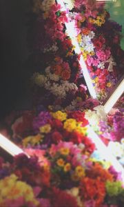 Preview wallpaper flowers, neon, light, bouquet