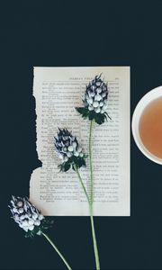 Preview wallpaper flowers, page, cup