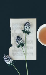 Preview wallpaper flowers, page, cup