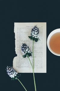 Preview wallpaper flowers, page, cup