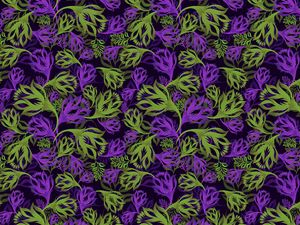 Preview wallpaper flowers, pattern, ornament, art