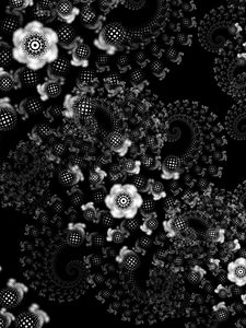 Preview wallpaper flowers, pattern, spiral, abstraction, black and white