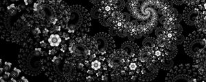 Preview wallpaper flowers, pattern, spiral, abstraction, black and white