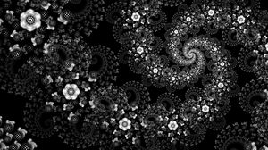 Preview wallpaper flowers, pattern, spiral, abstraction, black and white