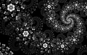 Preview wallpaper flowers, pattern, spiral, abstraction, black and white
