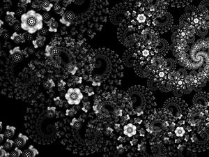 Preview wallpaper flowers, pattern, spiral, abstraction, black and white