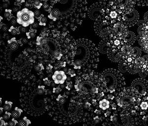 Preview wallpaper flowers, pattern, spiral, abstraction, black and white