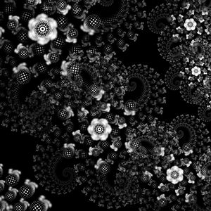 Preview wallpaper flowers, pattern, spiral, abstraction, black and white