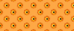 Preview wallpaper flowers, pattern, yellow