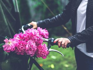 Preview wallpaper flowers, peonies, bicycle, hand