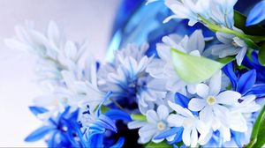 Preview wallpaper flowers, petals, bouquet, white, blue