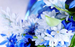 Preview wallpaper flowers, petals, bouquet, white, blue