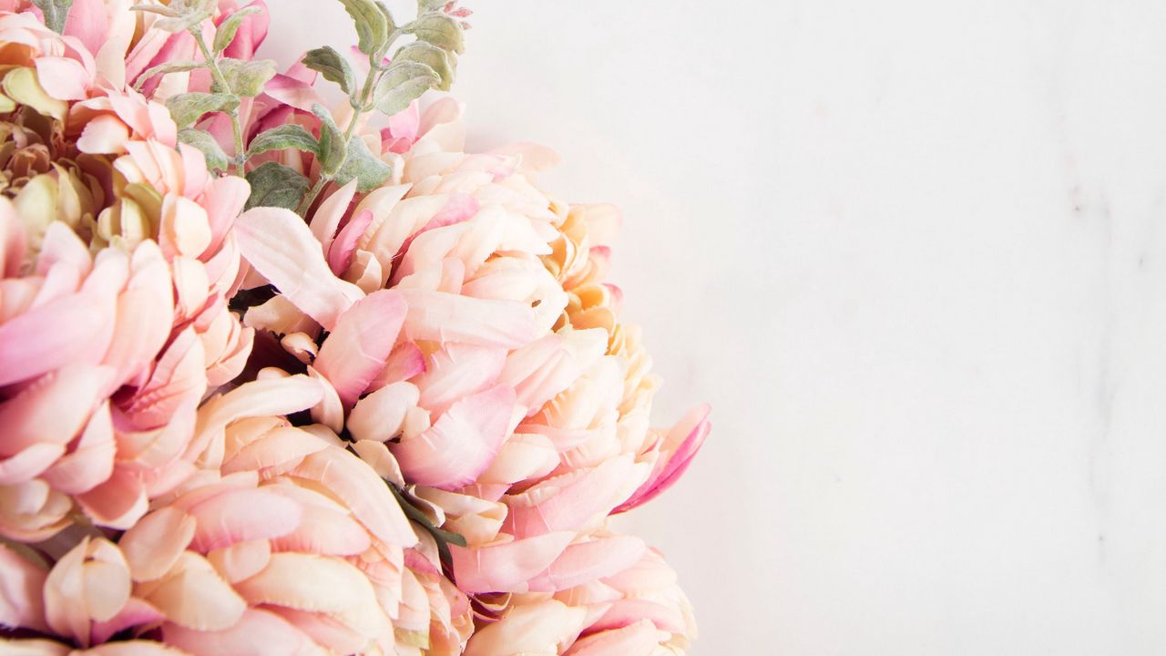 Wallpaper flowers, petals, bouquet, light, aesthetics