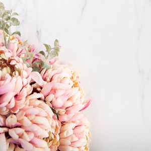 Preview wallpaper flowers, petals, bouquet, light, aesthetics