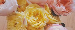 Preview wallpaper flowers, petals, bouquet, light