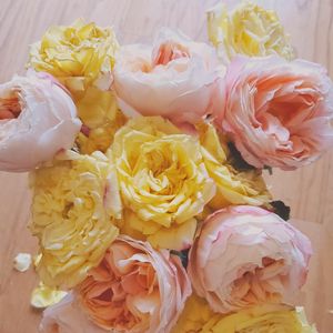 Preview wallpaper flowers, petals, bouquet, light