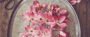 Preview wallpaper flowers, petals, bouquet, aesthetics, pink