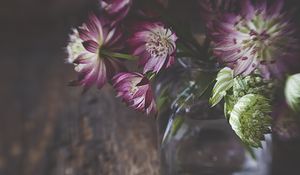 Preview wallpaper flowers, petals, bouquet, vase, aesthetics