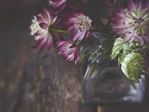 Preview wallpaper flowers, petals, bouquet, vase, aesthetics