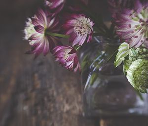 Preview wallpaper flowers, petals, bouquet, vase, aesthetics