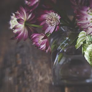 Preview wallpaper flowers, petals, bouquet, vase, aesthetics