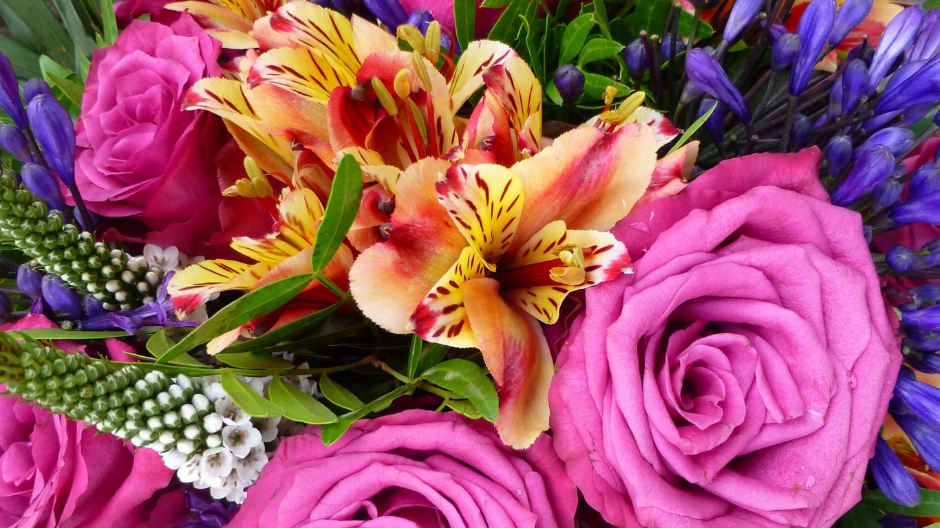 Download wallpaper 1366x768 flowers, petals, bouquet, colorful tablet ...