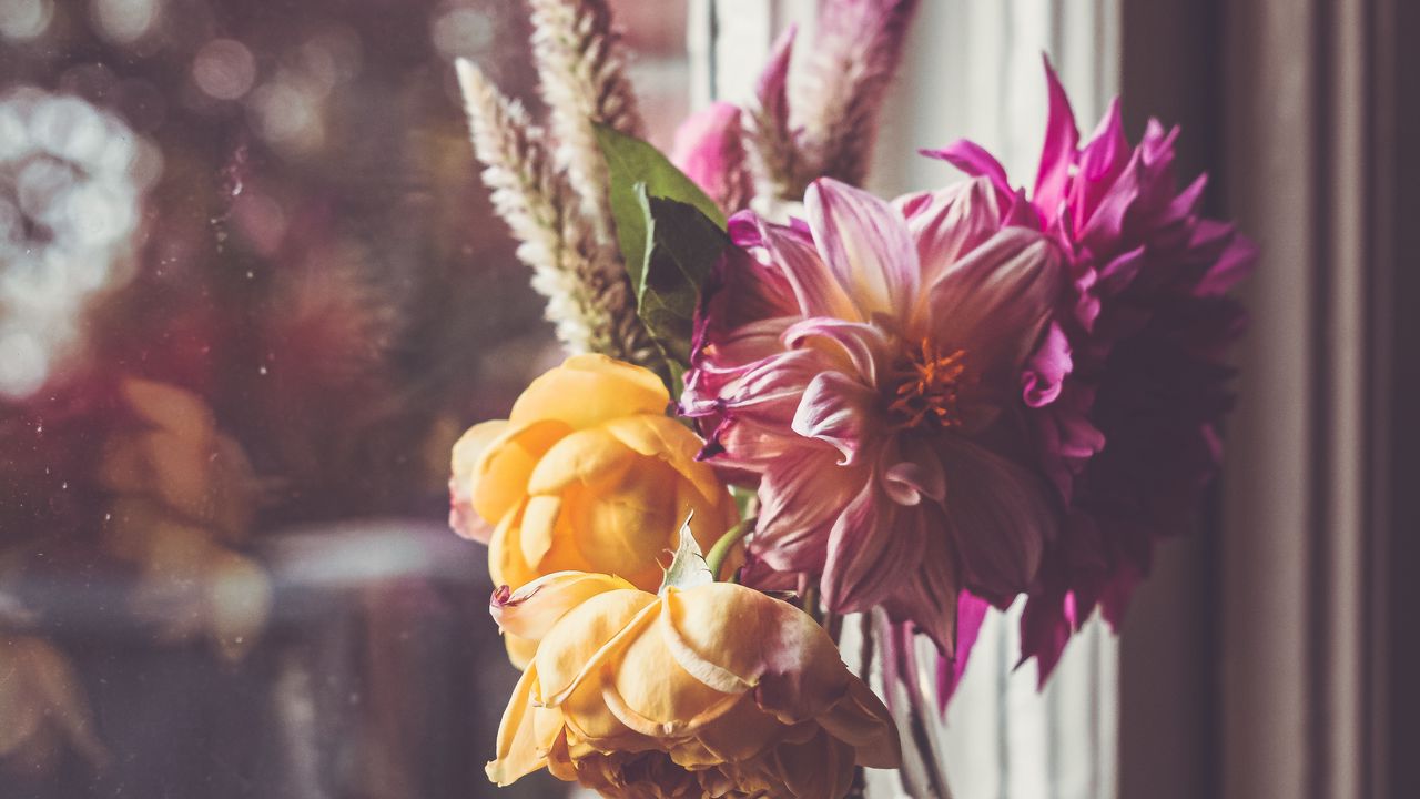 Wallpaper flowers, petals, bouquet, vase, window hd, picture, image