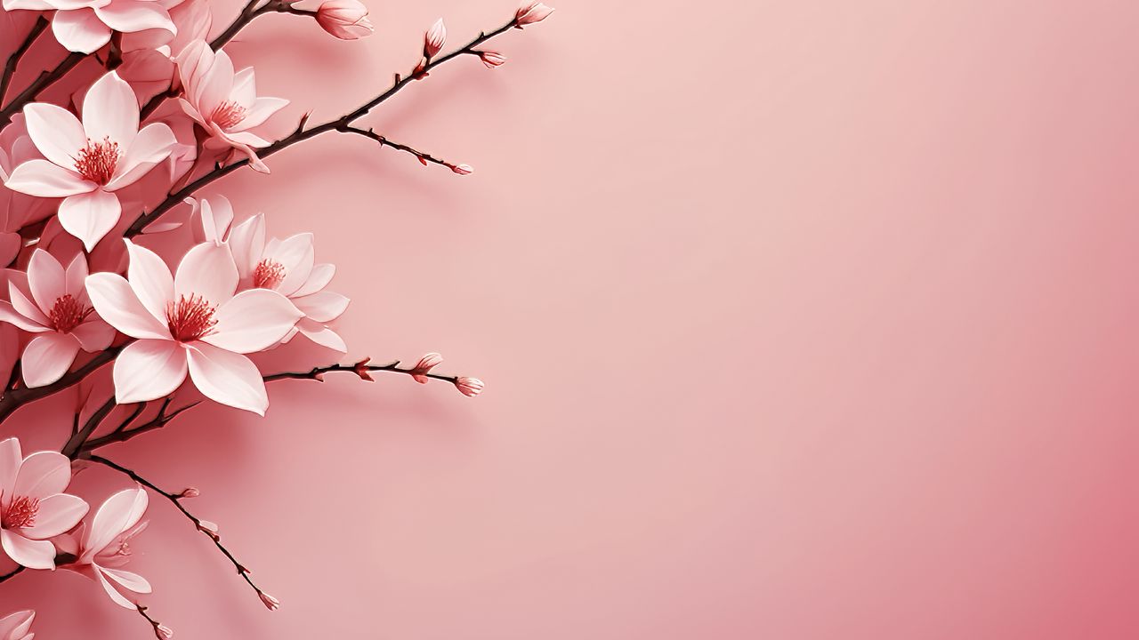 Wallpaper flowers, petals, branches, pink