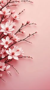 Preview wallpaper flowers, petals, branches, pink