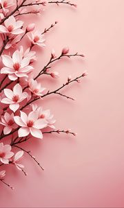 Preview wallpaper flowers, petals, branches, pink