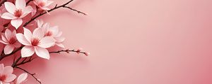 Preview wallpaper flowers, petals, branches, pink