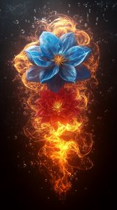 Preview wallpaper flowers, petals, fire, flame