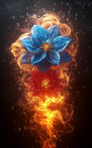Preview wallpaper flowers, petals, fire, flame