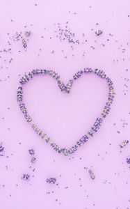 Preview wallpaper flowers, petals, heart, love, purple