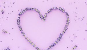 Preview wallpaper flowers, petals, heart, love, purple