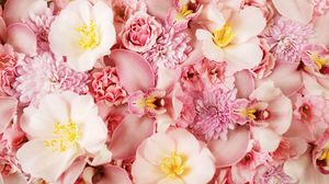 Preview wallpaper flowers, petals, pink