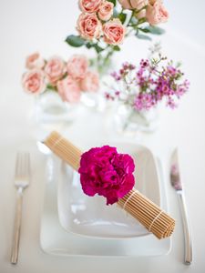 Preview wallpaper flowers, petals, plates, aesthetics, serving, white