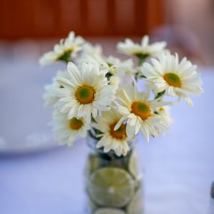 Preview wallpaper flowers, petals, vase, white