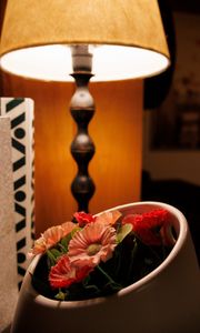 Preview wallpaper flowers, petals, vase, floor lamp
