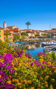 Preview wallpaper flowers, pier, yachts, houses